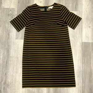 Ann Taylor Loft shift dress, EUC